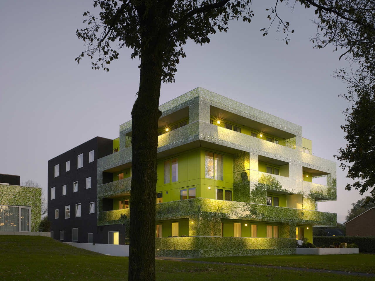 Gingko Project / Casanova + Hernandez Architects, © Christian Richters