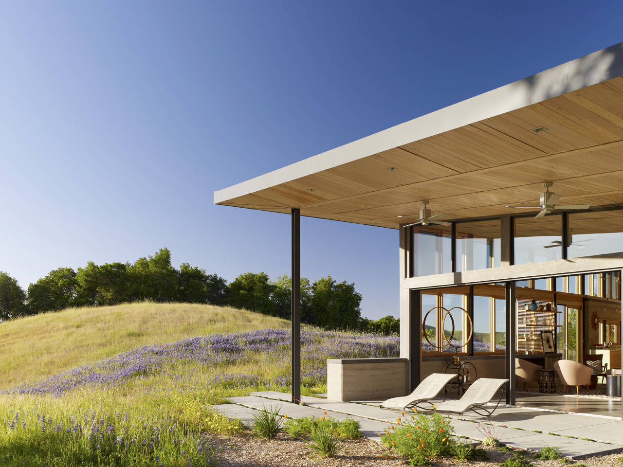 Feldman Architecture | gallery of caterpillar house feldman architecture 6 Feldman Architecture | gallery of caterpillar house feldman architecture 6