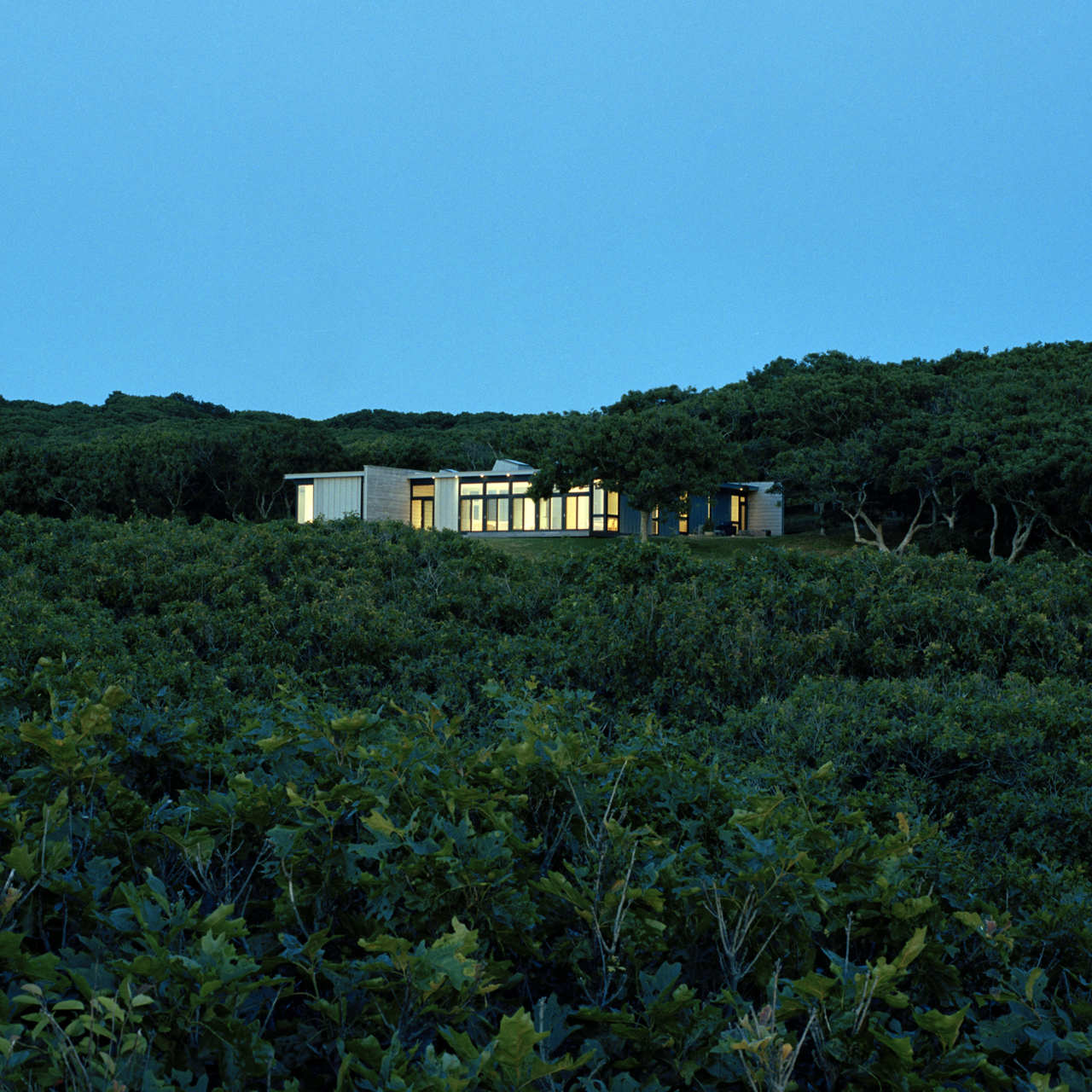 MV House / Architecture Research Office, Courtesy of Architecture Research Office