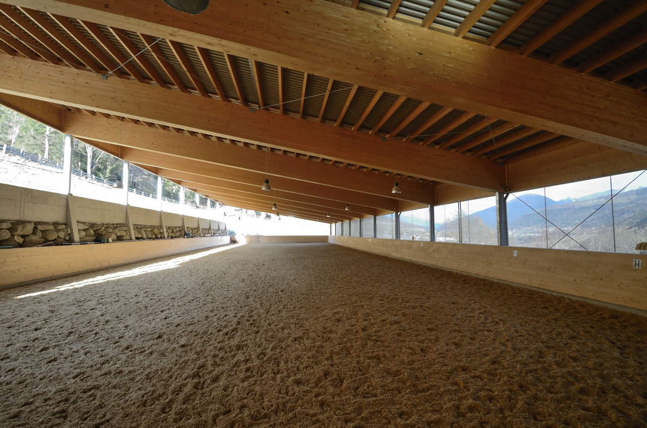 Gallery of Reitarena Stubai / AO Architekten - 5