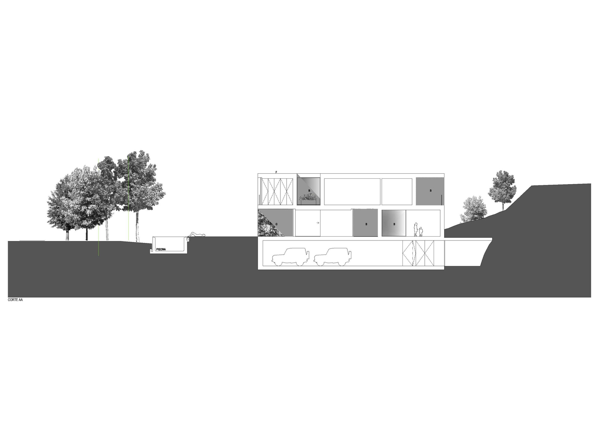 Section 01