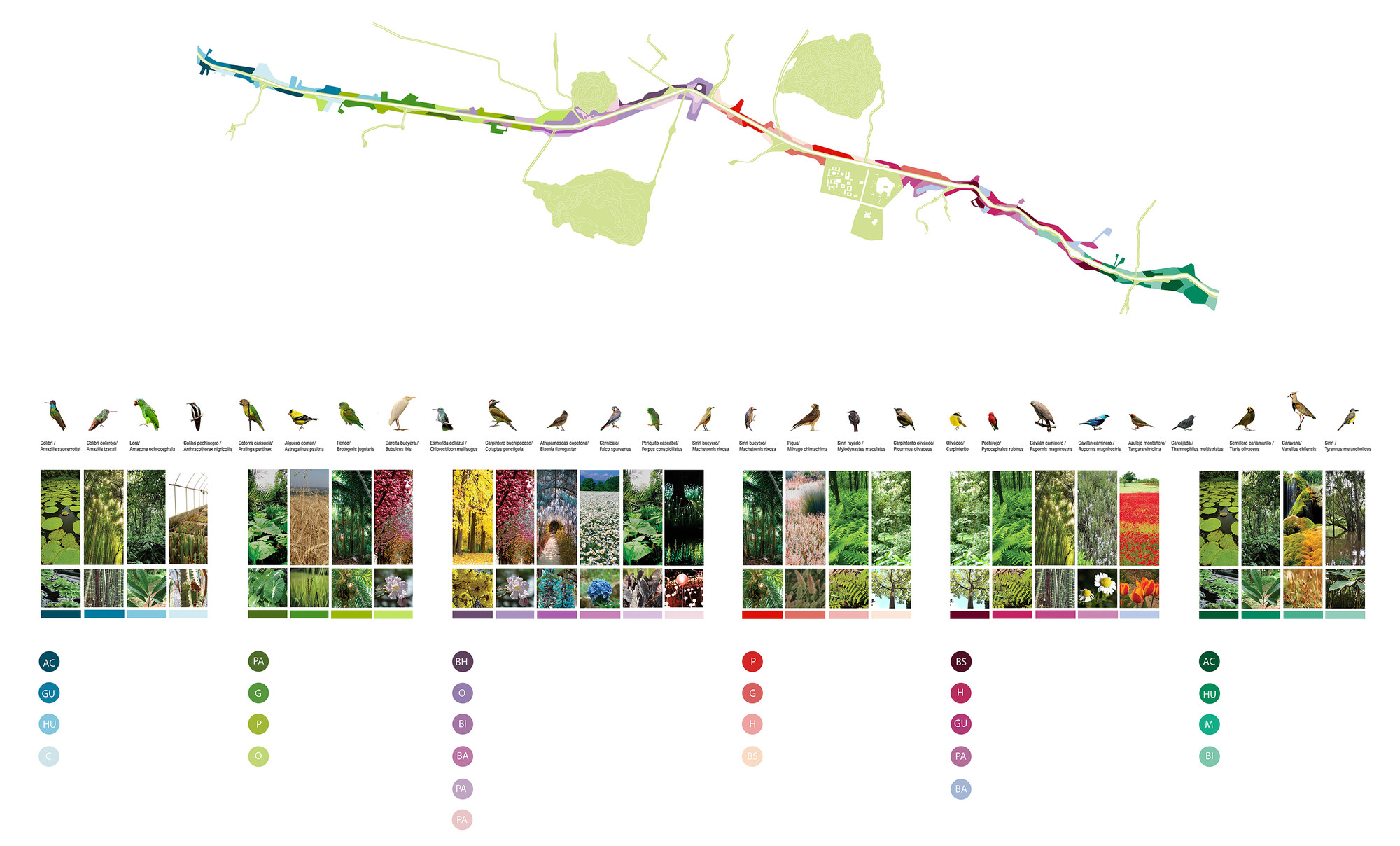 Planta de usos vegetales y especies