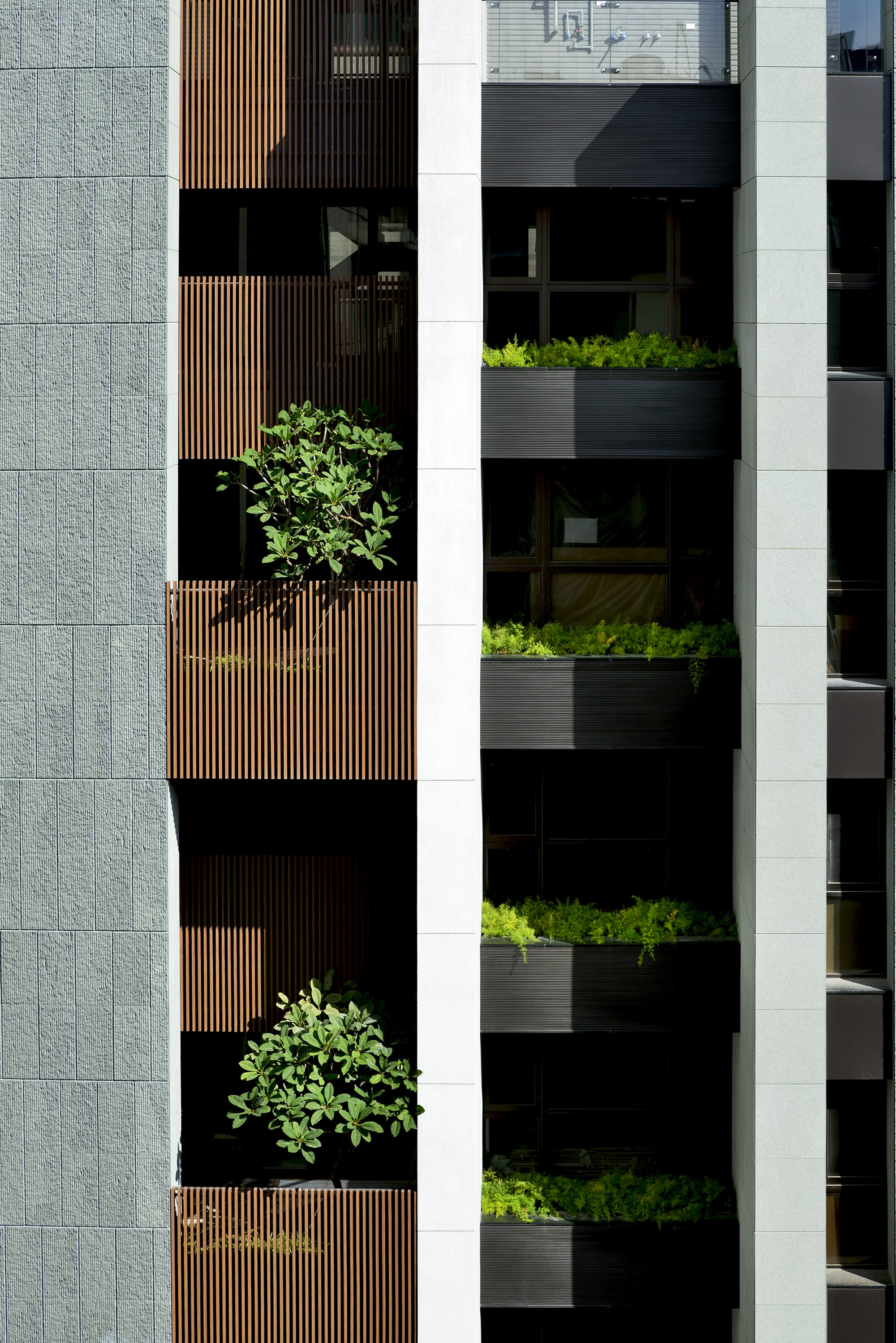 Gallery of Stacking House / Hsuyuan Kuo Architect & Associates 5