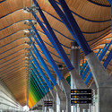 Very large angled bamboo struts were used by Richard Rogers and Antonio Lamela in supporting a soothing, awesome, enveloping and comforting wavy orange canopy at the Barajas Airport Terminal 4 in Madrid. Image © Manuel Renau Image courtesy of AENA and Manuel Renau