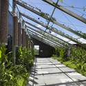 Lady Cilento Children's Hospital; Austrália / Lyons. Cortesia de World Architecture Festival