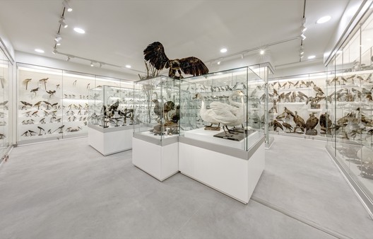 © Tadas Černiauskas