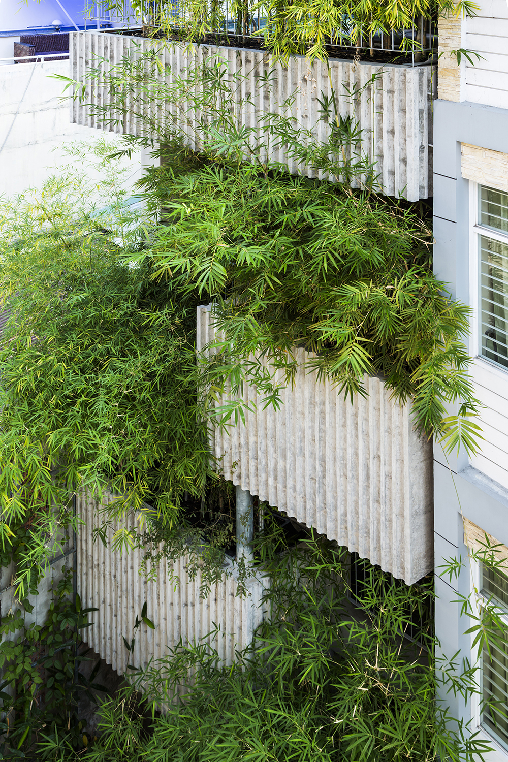 bamboo house / vtn architects | archdaily bamboo house / vtn architects | archdaily