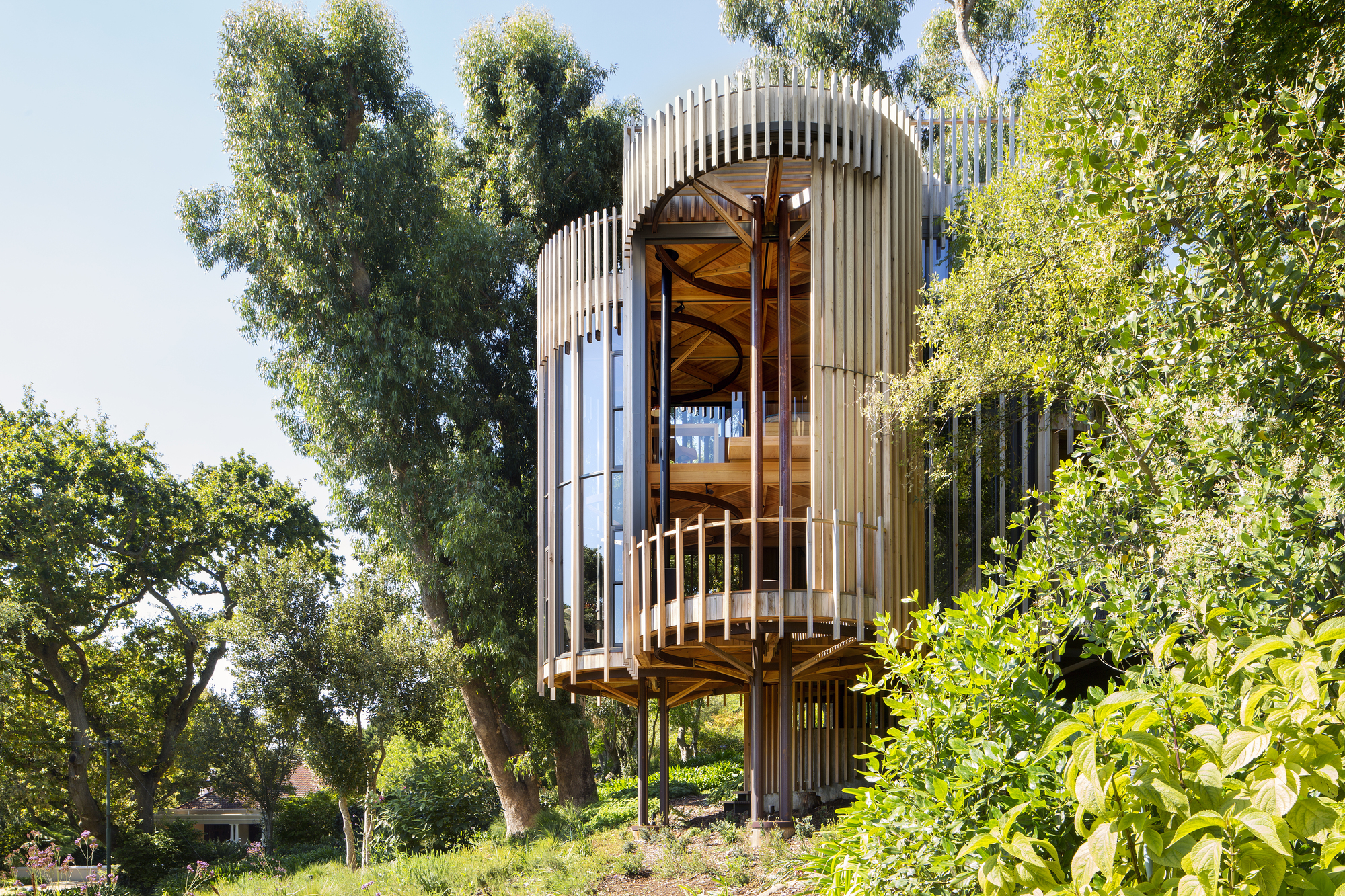 Tree House Malan Vorster Architecture Interior Design ArchDaily Tree House Malan Vorster Architecture Interior Design ArchDaily