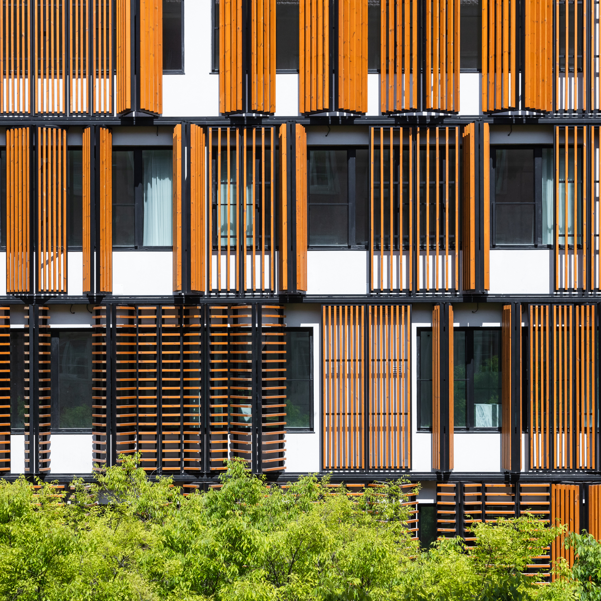 画廊 里斯本木质公寓 / Plano Humano Arquitectos  - 7