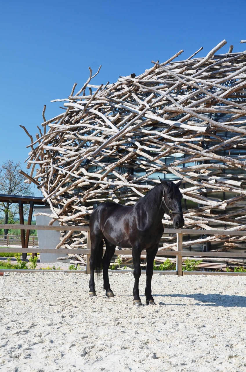  Fazenda Ninho da Cegonha / SGL Projekt  - Imagem 13 de 21