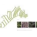 Em Detalhe: Restauração Paisagística do Aterro Sanitário de Vall d’en Joan / Batlle i Roig Arquitectes (14) Planta de 'arvores e arbustos