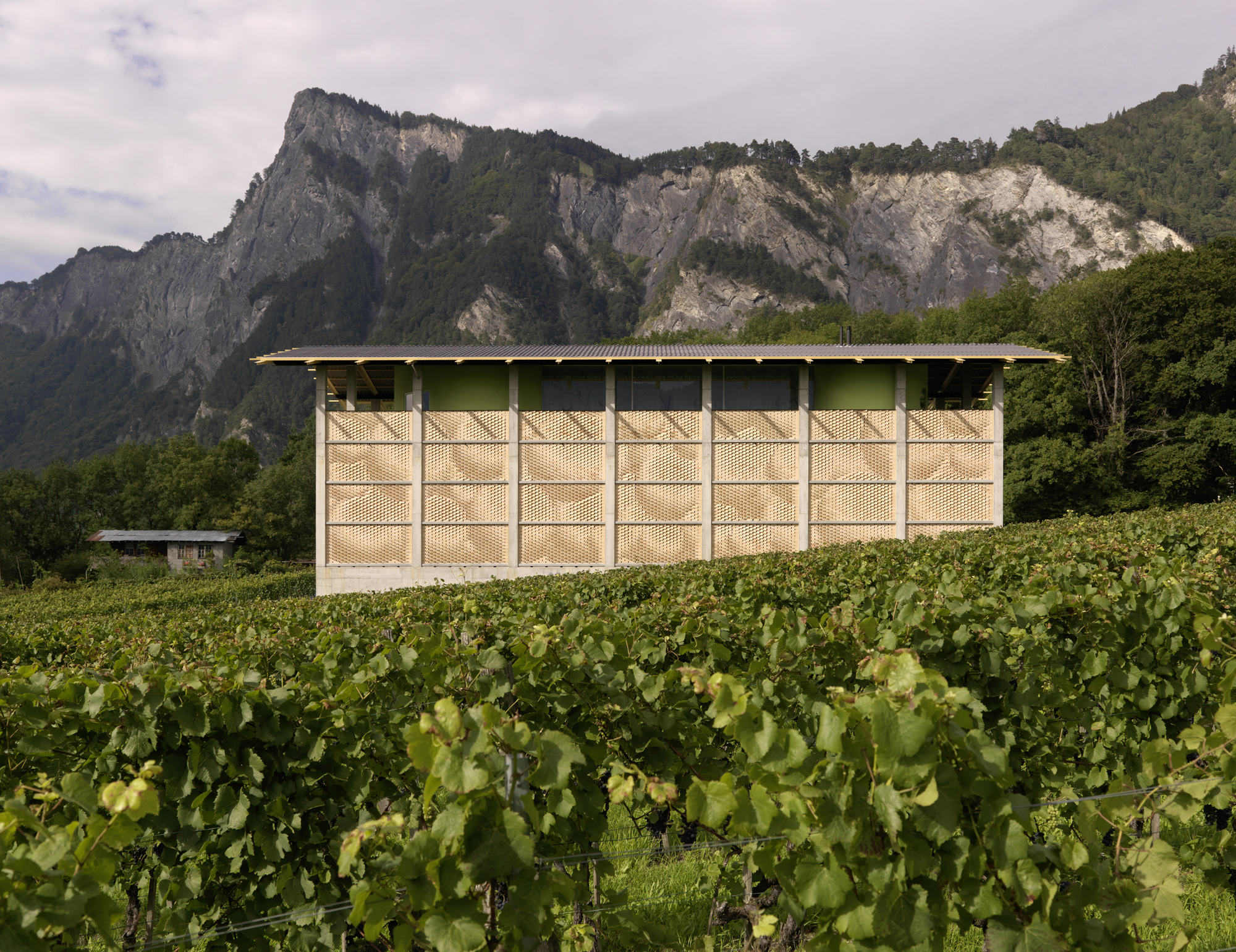 Vinícola Gantenbein / Gramazio & Kohler + Bearth & Deplazes Architekten - Imagem 24 de 37