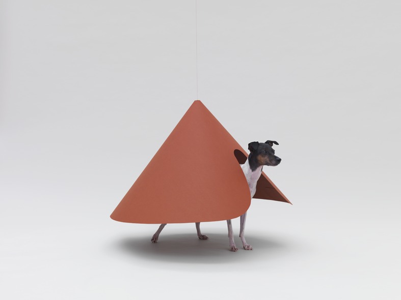 Arquitetura para Cachorros - Imagem 9 de 10