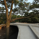 Twin Trees Pavilion / Atelier Archmixing - Pavilion, Garden, Handrail, Forest