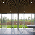 Harvest Pavilion / Vector Architects - Pavilion, Garden, Facade, Door, Lighting