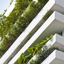 Stacking green / VTN Architects - Facade