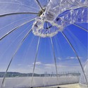 Ecotron / MDR Architectes - Windows