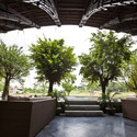 Bamboo Wing / VTN Architects - Arch, Garden