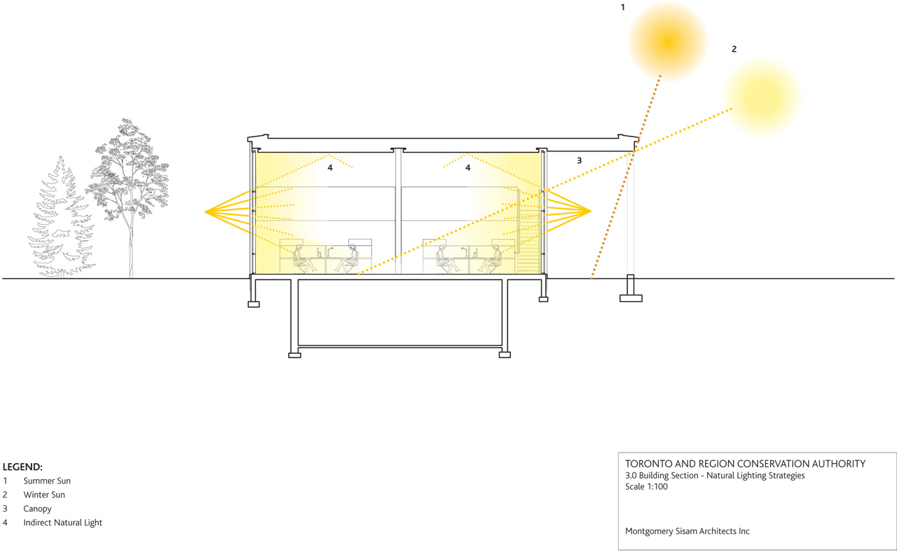 Demystify Natural Light For Succulents Succulents Box