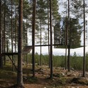 Tree Hotel / Tham & Videgård Arkitekter - Forest
