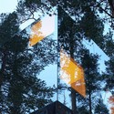 Tree Hotel / Tham & Videgård Arkitekter - Forest