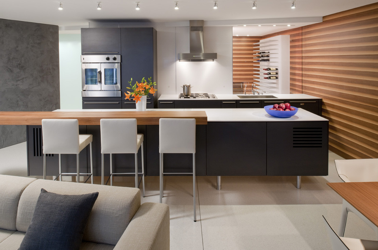 Gallery of Watergate Apartment / Robert Gurney Architect 15