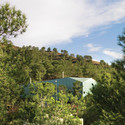 House among Pines / XPIRAL - Forest, Garden