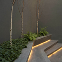 Ayres Store / Dieguez Fridman - Showroom, Garden