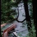Geometric Hot Springs / Germán del Sol - Therm, Stairs, Handrail, Forest