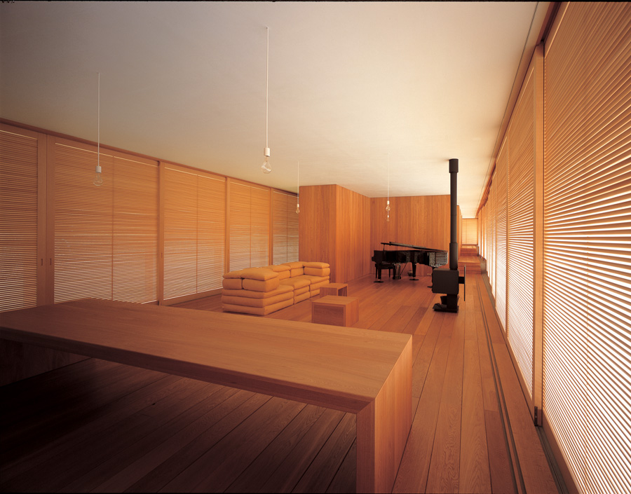 Gallery of Floating Roof House / Tezuka Architects 2