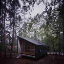 House to catch the forest / Tezuka Architects - Forest
