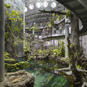 California Academy of Sciences / Renzo Piano Building Workshop  + Stantec Architecture  - Image 3 of 47