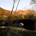 Bubbletecture H / Shuhei Endo - Arch, Forest, Beam
