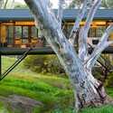 Bridge House / Max Pritchard Architect - Windows, Garden