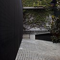 Northern 俱乐部的冬季花园 / Fearon Hay Architects - 室内设计
