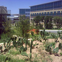 AMD's Lone Star Campus / TBG Partners - University, Garden, Facade