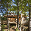Camp Twin Lakes treehouse / Lord, Aeck & Sargent - Windows, Forest