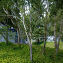 Hundred Foot House / Ogrydziak Prillinger Architects - 独立住宅