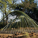 Bamboo Structure Project / Pouya Khazaeli Parsa - Garden