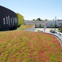 Tassafaronga Village / David Baker + Partners - Housing, Garden, Facade
