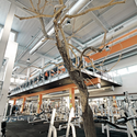 Vy Gym / Symbiosis Designs LTD - Gymnasium, Beam