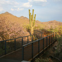 The Gateway to the McDowell Sonoran Preserve / Weddle Gilmore Black Rock Studio - Tourism, Fence, Handrail, Forest