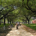 Discovery Green / Hargreaves Jones - Park
