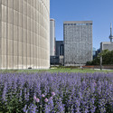 NPS Podium Roof Garden / PLANT Architect + Perkins&Will - Image 3 of 16