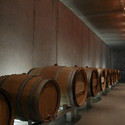 Spring in Pantone 375C, Mas Rodó Winery / SALA FERUSIC Architects - Winery