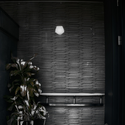 Black slit house / THREE.BALL.CASCADE. - Houses, Door, Facade