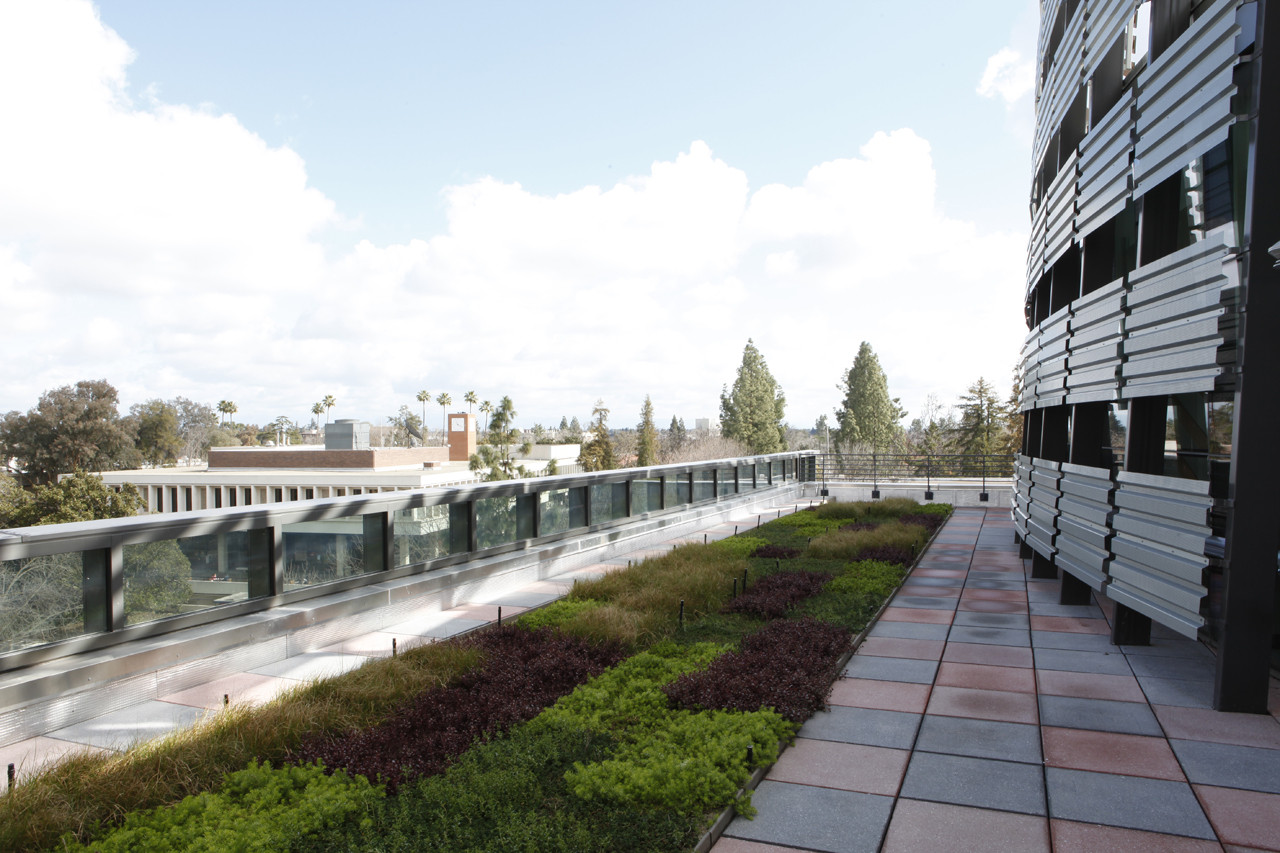 Gallery of Henry Madden Library / AC Martin + Hillier Architecture 6