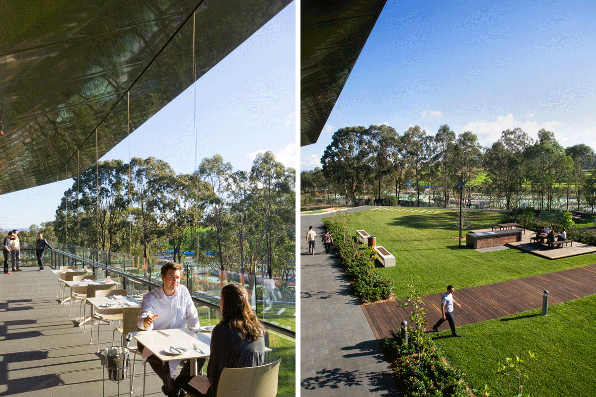 Gallery of Harrington Grove Country Club / Hassell 4