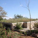 Gutman Visitor Center at the Jerusalem Bird Observatory / Weinstein Vaadia Architects - Forest