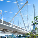Kurilpa Bridge / Cox Rayner Architects with Arup - Beam